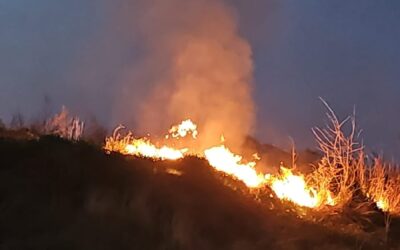 SALIDA DE Bomberos Voluntarios Pehuajó : MALEZAS EN PEÑALOZA Y PIO XI