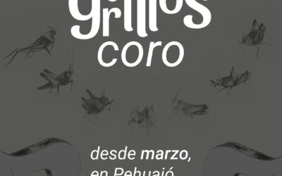 Siete grillos busca conformar un coro