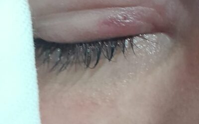 Sofia Aires: Necesito ayuda para mi hermano