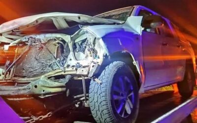 RUTA NAC. 5, BRAGADO: UNA CAMIONETA IMPACTO CONTRA UN VACUNO