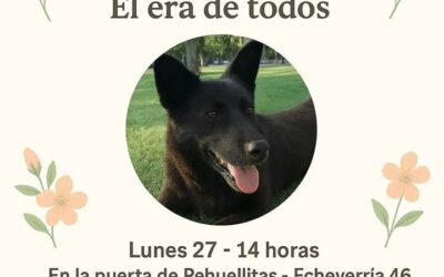 Manifestación en Pehuellitas: Despedida de Lobito y pedido de concientización