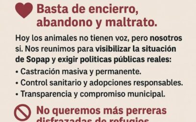 Convocan a una marcha en reclamo por el trabajo de Pehuallitas